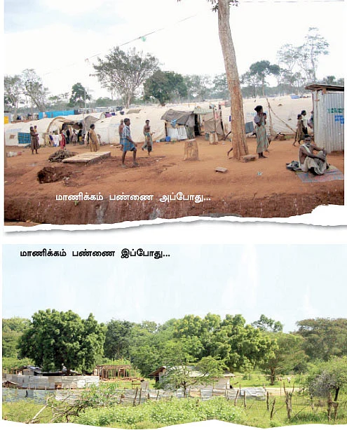 புலித்தடம் தேடி...