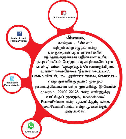 நீங்கள் கேட்டவை: ‘மா’ சாகுபடியில் நல்ல விளைச்சல் பெறுவது எப்படி?