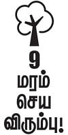 மரம் செய விரும்பு! - 9 - மலைகளைக் காக்கும் ஊசியிலை மரங்கள்!