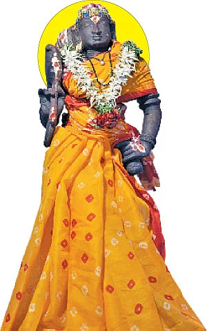 கல்விக் கோயில்! - பழநி மலை