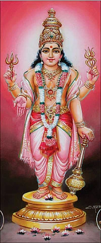 வாழ்வே வரம்!