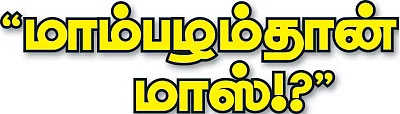 வி.ஐ.பி. தொகுதிகள்... வின்னர் யார்?