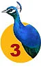 கண்டுகொண்டேன் கந்தனை - 3