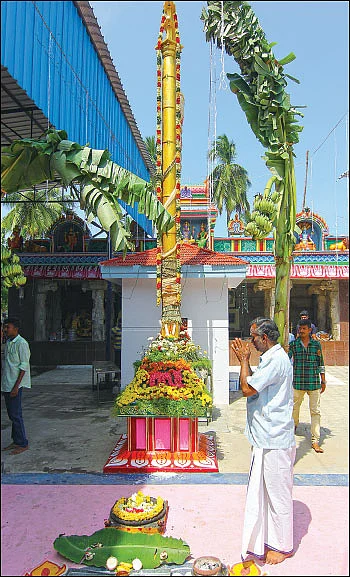 நிலப் பிரச்னைகள் தீரும் நிம்மதி பிறக்கும்! - மேல்பொதட்டூர் தரணி வராகர் தரிசனம்