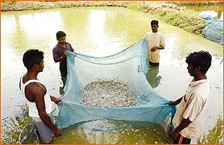 ‘ஊர்’வலம் - திருவள்ளூர்