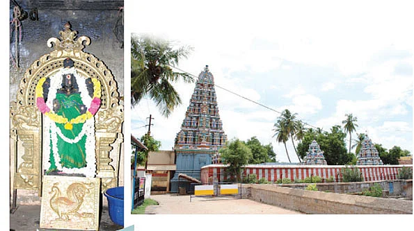 உங்கள் குழந்தையை அம்பாளுக்கு 'தத்து' கொடுங்கள்!