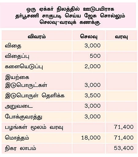 இயற்கை தர்பூசணி...