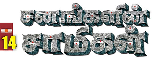 சனங்களின் சாமிகள் - 14
