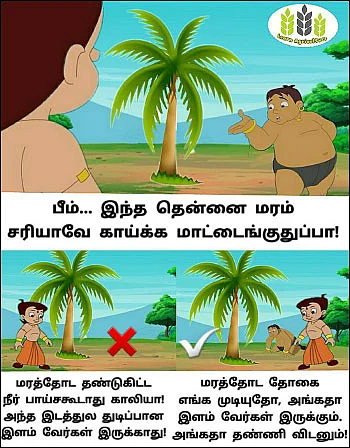 இவர்கள் நல்ல மீமர்கள்!