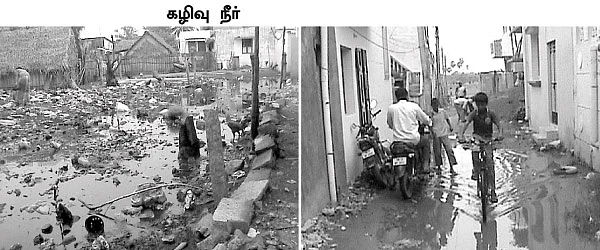 திரண்டு வரும் கொசுப் படை...