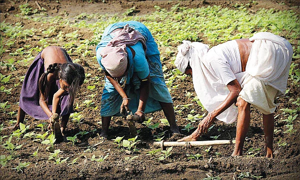 உழைப்பின் வாரா உறுதிகள் உளவோ?