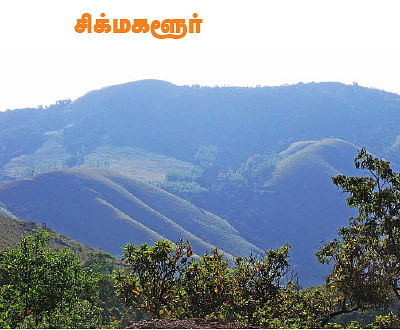 டூர் ஸ்பெஷல்