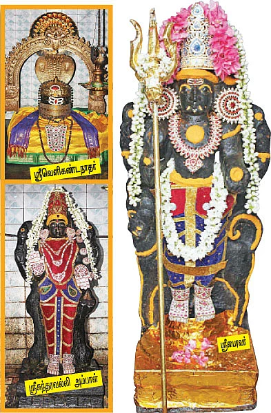 ஸ்ரீபைரவர் தரிசனம்! - திருச்சி