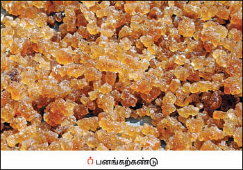 மரம் செய விரும்பு! - 20 - பனை கொடுக்கும் பயன்கள்!