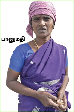 உருக்குலைந்த உப்பளங்கள்! - தீராத கஜா சோகம்... கண்ணீரில் தொழிலாளர்கள்...