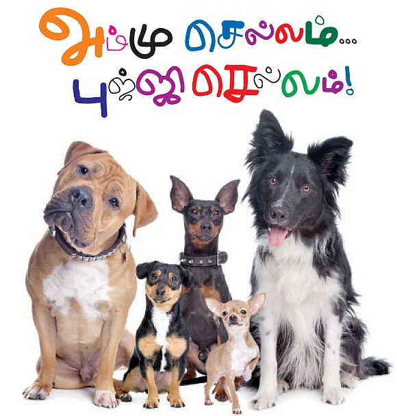 அம்மு செல்லம்...புஜ்ஜி செல்லம் !