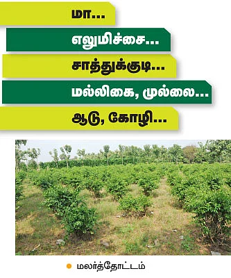 4 ஏக்கரில் ரூ3,00,000 அள்ளிக் கொடுக்கும் ஒருங்கிணைந்த பண்ணை!