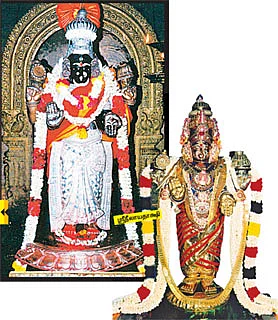 தேவாரத் திருவுலா!