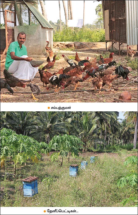 ஆண்டுக்கு ரூ 10 லட்சம் லாபம்... ஜீரோபட்ஜெட்டில் செழிக்கும் இயற்கைப் பண்ணை!