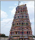நிலப் பிரச்னை தீர்ப்பார் திருச்சுழி நாயகன்..!