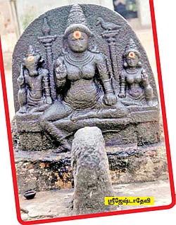 ஆலயம் தேடுவோம்