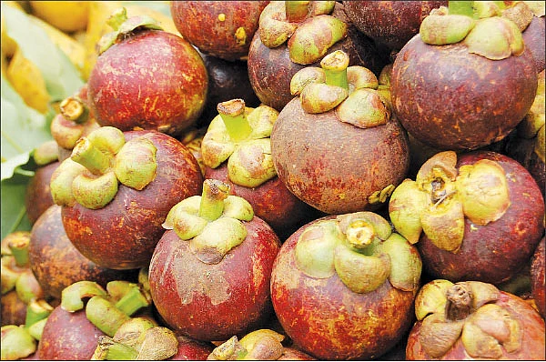வைத்தியம் - மருத்துவ குணங்கள் நிறைந்த மங்குஸ்தான்!