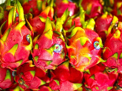 நலம் தரும் நாட்டுக்காய்கள்