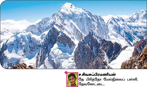 சுட்டி ஸ்டார் நியூஸ்