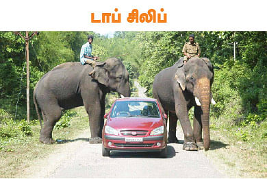 டூர் ஸ்பெஷல்