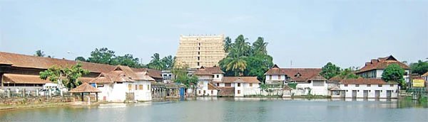 புதையல் பூதம்!