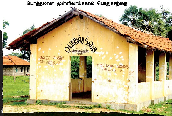 புலித்தடம் தேடி...