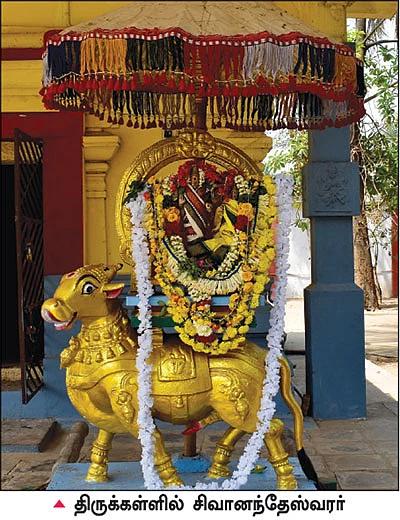நம் ஊர்... நம் கதைகள் - இடிந்த கோட்டையும் எதிர்வரும் பறவைகளும்!