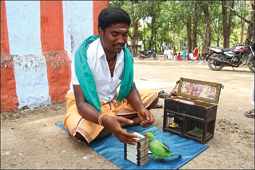 கிளி ஜோசியம் பார்க்கலையோ கிலி ஜோசியம்!