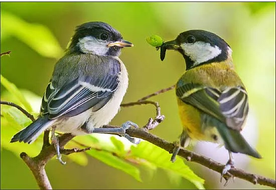 அக்கம் பக்கம்
