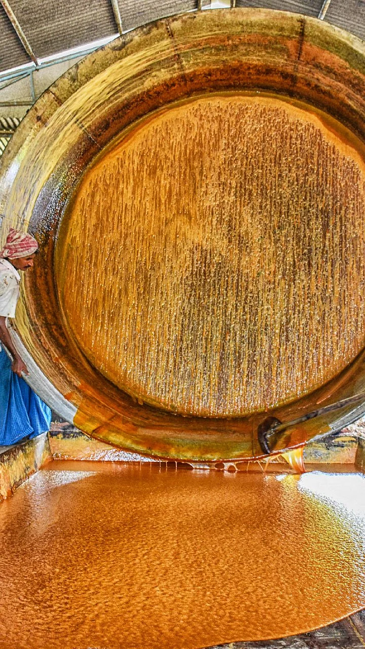 ஏக்கருக்கு ரூ 1,75,000 தோட்டத்திலேயே வெல்லம் தயாரிப்பு!