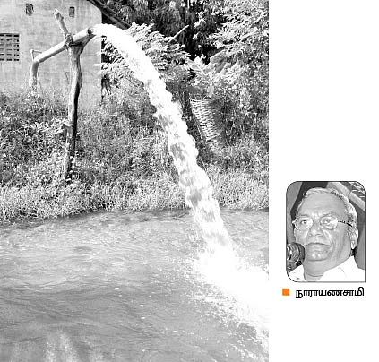 மரப்பயிர்களுக்கும் இனி, இலவச மின்சாரம்!