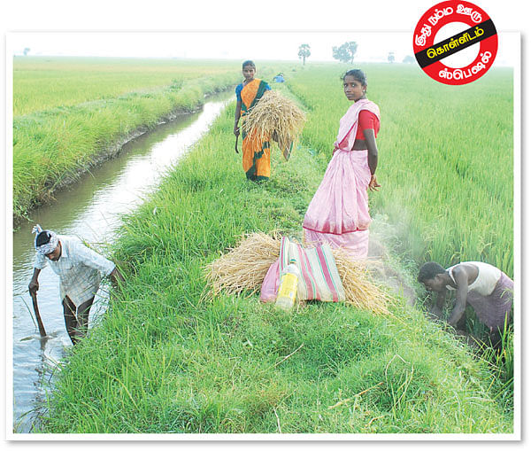 ஆபரேஷன் எலிவேட்டை