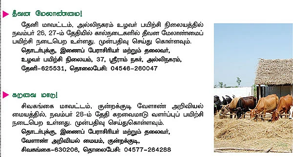 தண்டோரா