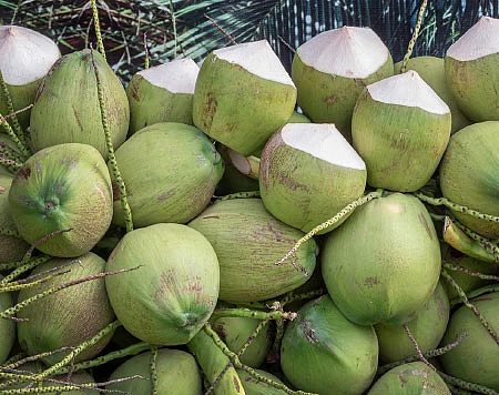 செயற்கை VS இயற்கை