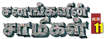 சனங்களின் சாமிகள் - 11