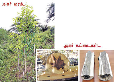 நீங்கள் கேட்டவை