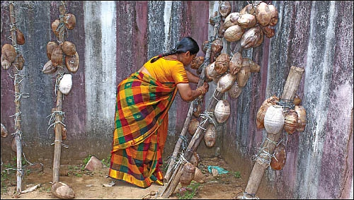 நாரதர் உலா... - பிரார்த்தனை... பிரச்னை?