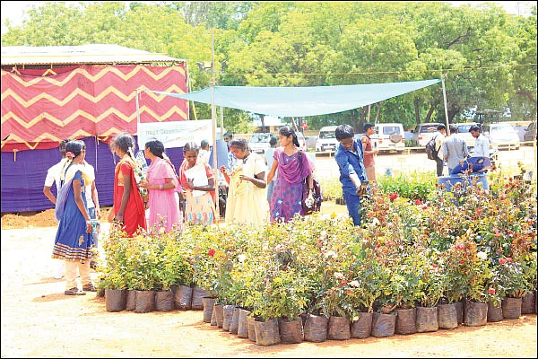 “சின்னத் தொழில்நுட்பங்கள் பெரிய லாபம்!”