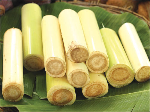 நல்லனவெல்லாம் தரும் நாட்டுக்காய்கறிகள்