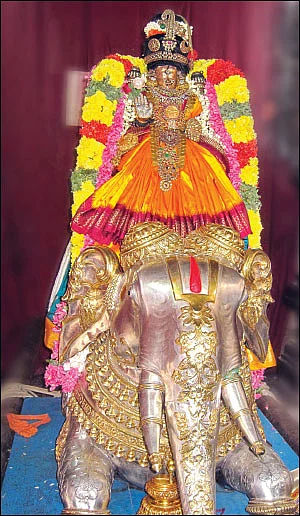 அல்லிக்கேணியில் அழகுத் திருக்கோலம்!