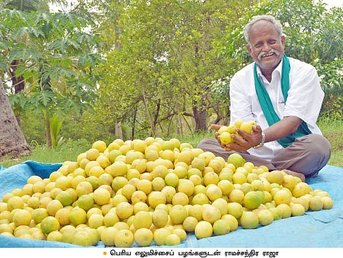 ஏக்கருக்கு ரூ-2 லட்சம்...ஏற்றம் தரும் எலுமிச்சை!