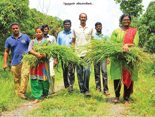 “இயற்கை விளைபொருட்களுக்கு தரம் முக்கியம்!” - ஒரு நாள் விவசாயி! பருவம்-2