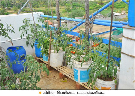 வீட்டுக்குள் விவசாயம் - 2