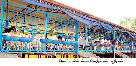 கொளுத்தும் கோடை குளிர்விப்பது எப்படி ?