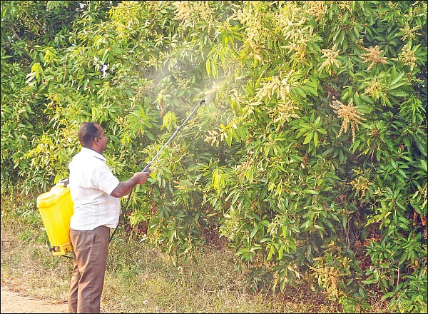சின்னச் சின்ன நுண்ணுயிர்கள் பெரிய பெரிய லாபம்! - உதவிக்கு வரும் உயிரியல் -2